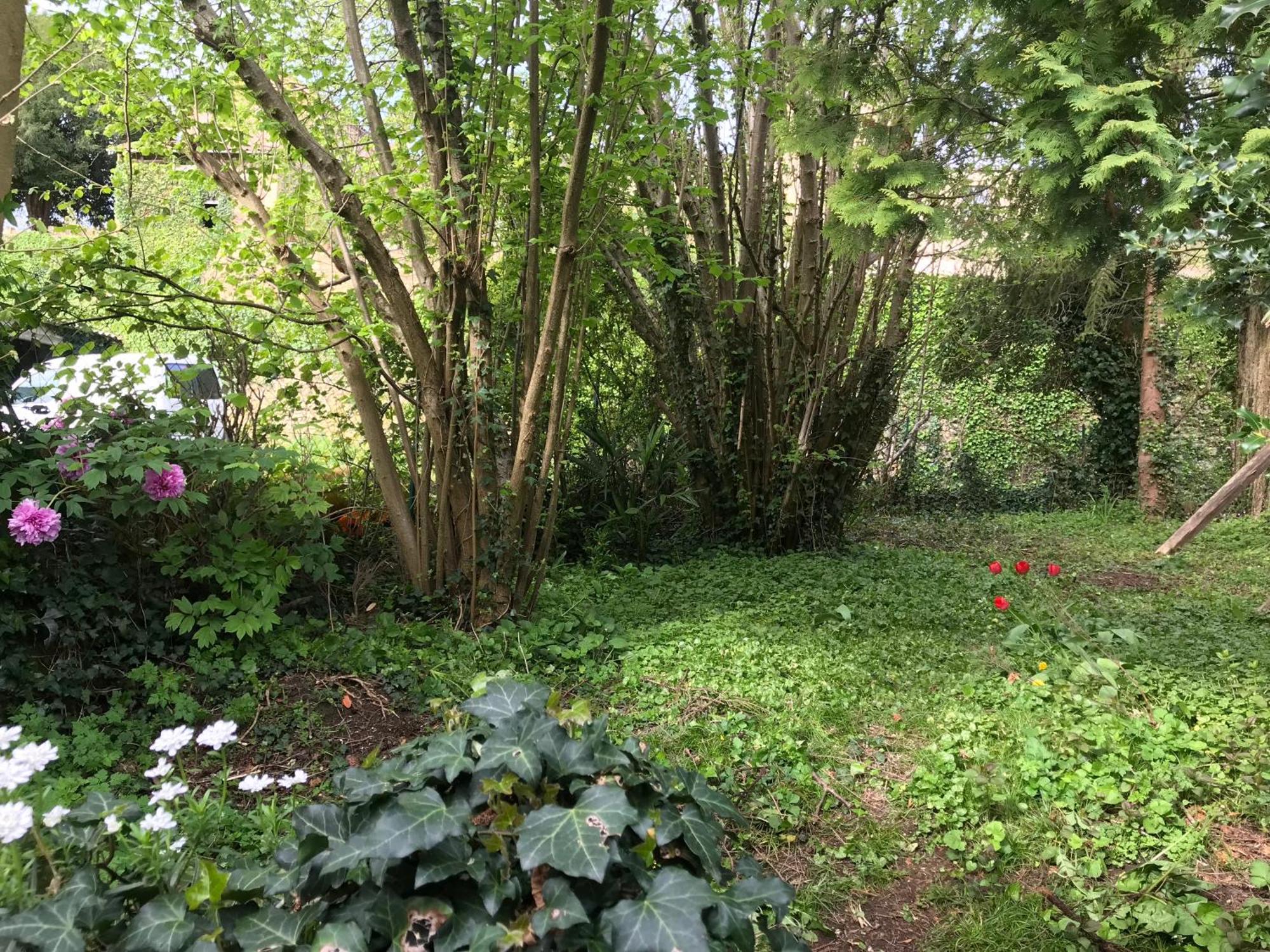 Belvès Villa Marguerite Terrasse & Garage מראה חיצוני תמונה